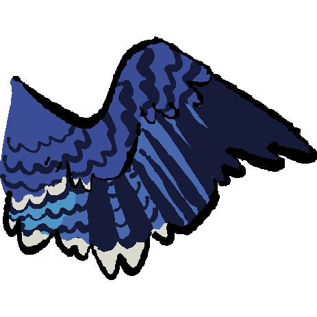 blue jay wing