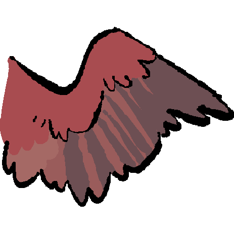 cardinal wing