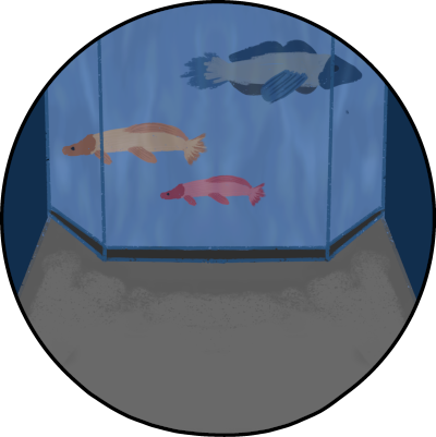 aquarium