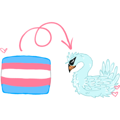 trans is beautiful