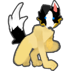 border collie therian