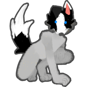 border collie therian