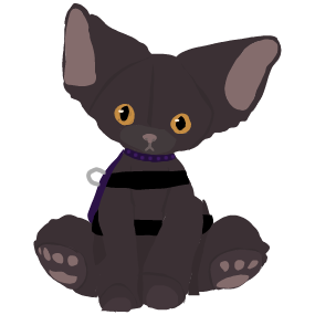 cat ESSA