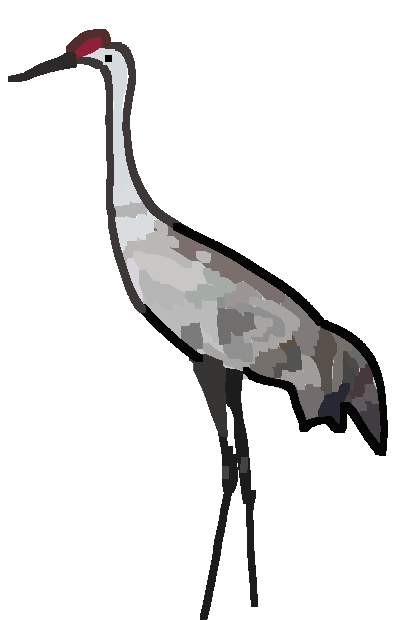 crane