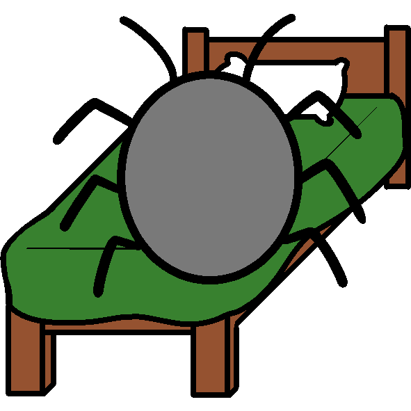 bed bug