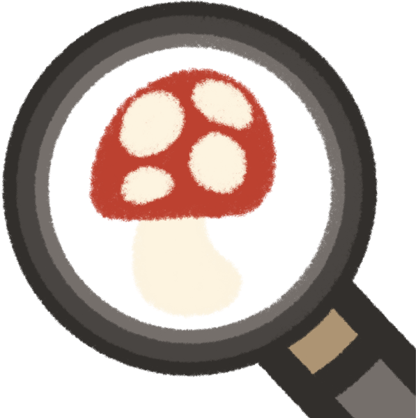 fungus identification