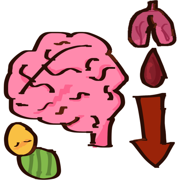 hypoxic-ischemic encephalopathy