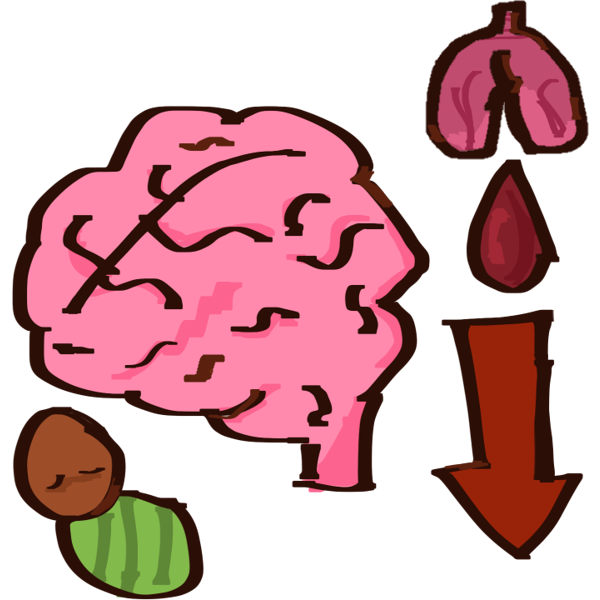 hypoxic-ischemic encephalopathy