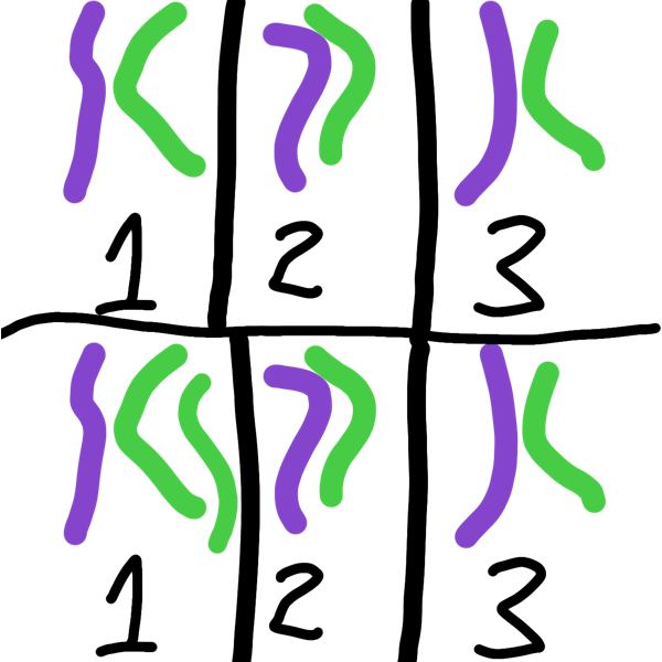 trisomy/duplication