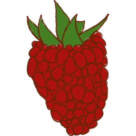 raspberry