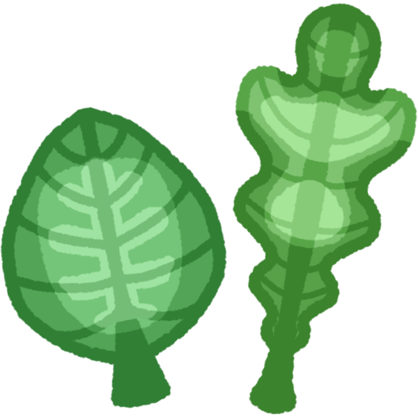 arugula