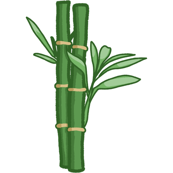 bamboo