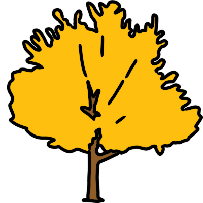 ginkgo tree