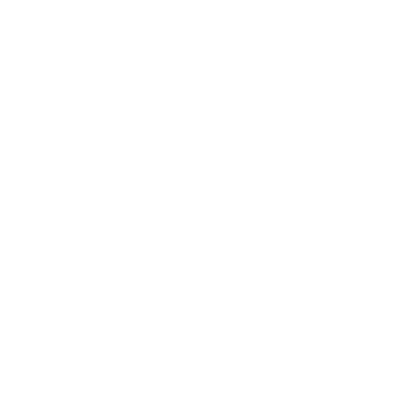bitch