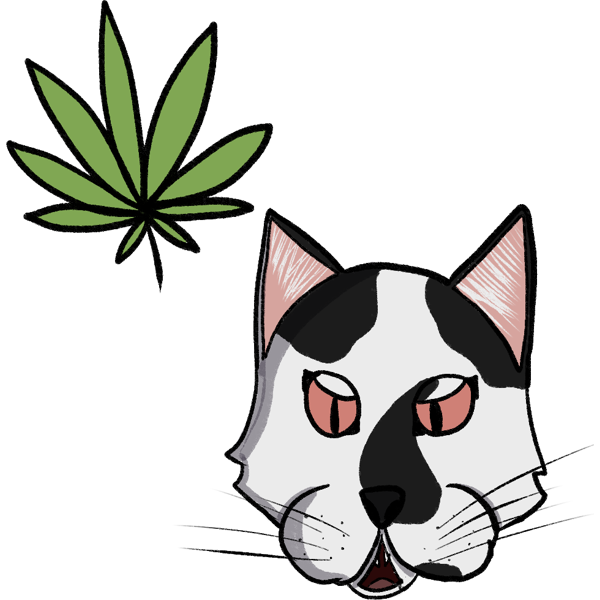 catnip