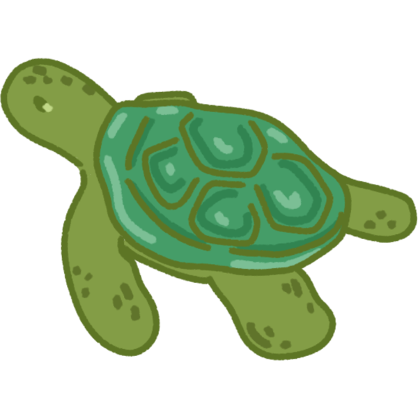 green sea turtle