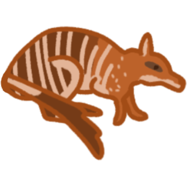 numbat