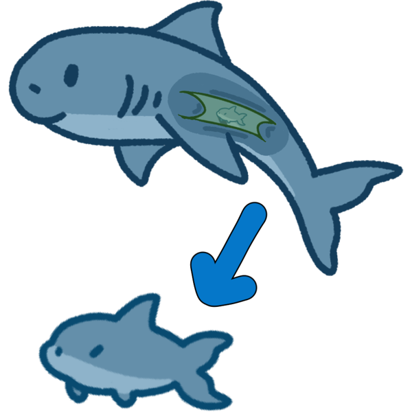 ovoviviparous